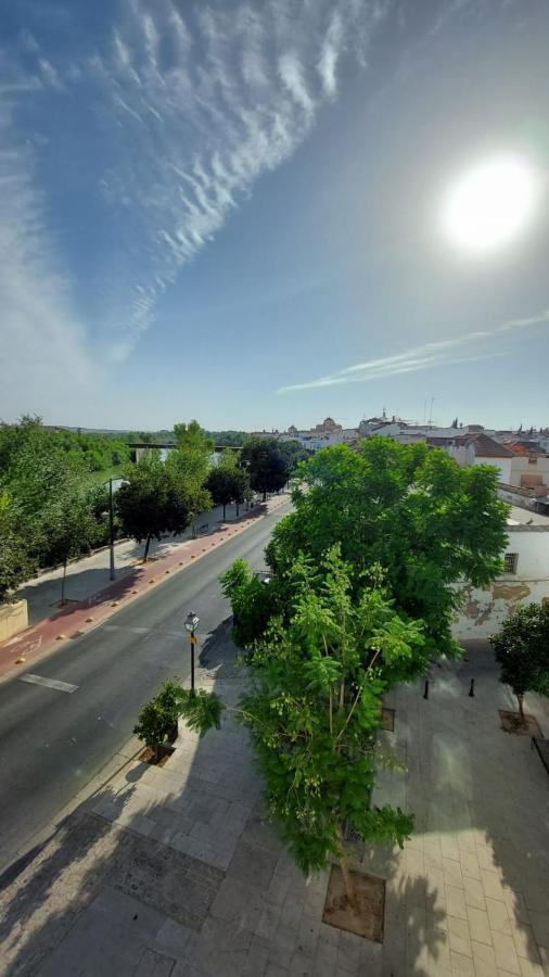 Ribera 19 *
